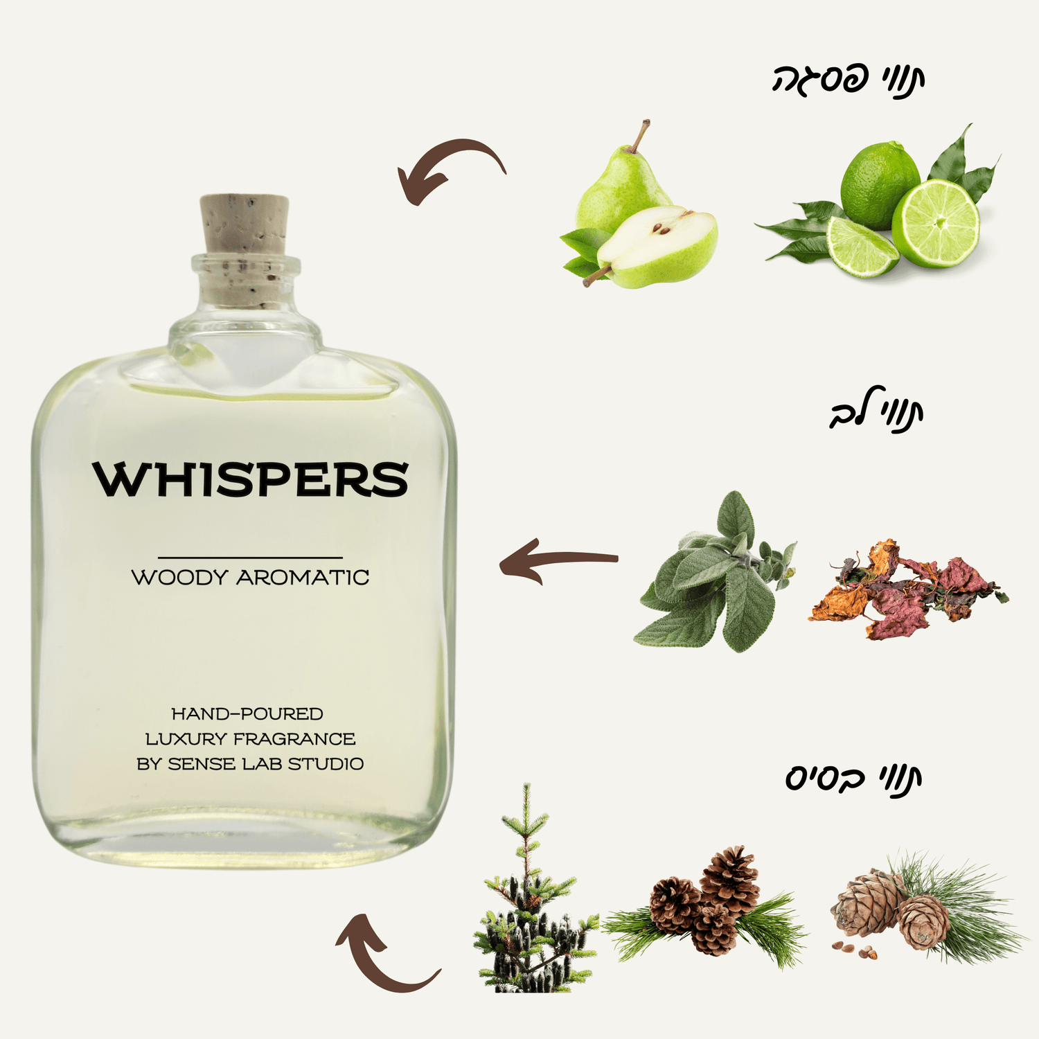 Whispers - מפיץ ריח (דיפיוזר) Reed Diffusers sense lab studio