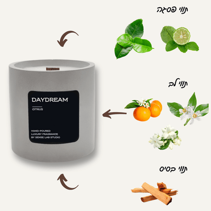 Daydream - נר ריחני בכלי בטון scnted candle sense lab studio