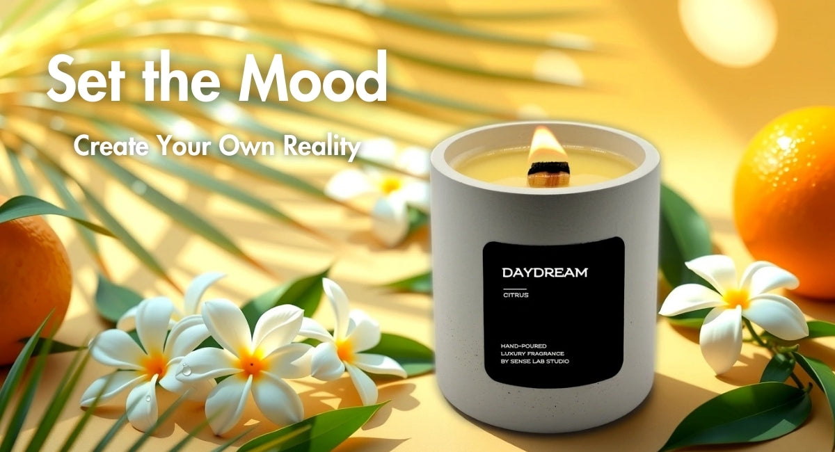 Daydream - נר ריחני בכלי בטון scnted candle sense lab studio